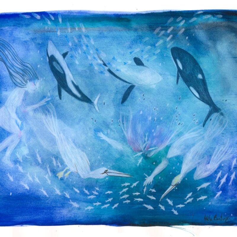 "Atlantique nord" A3